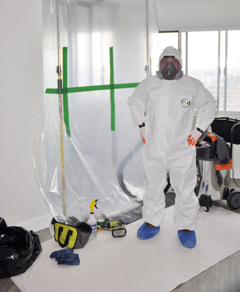 Certified Mold Removal